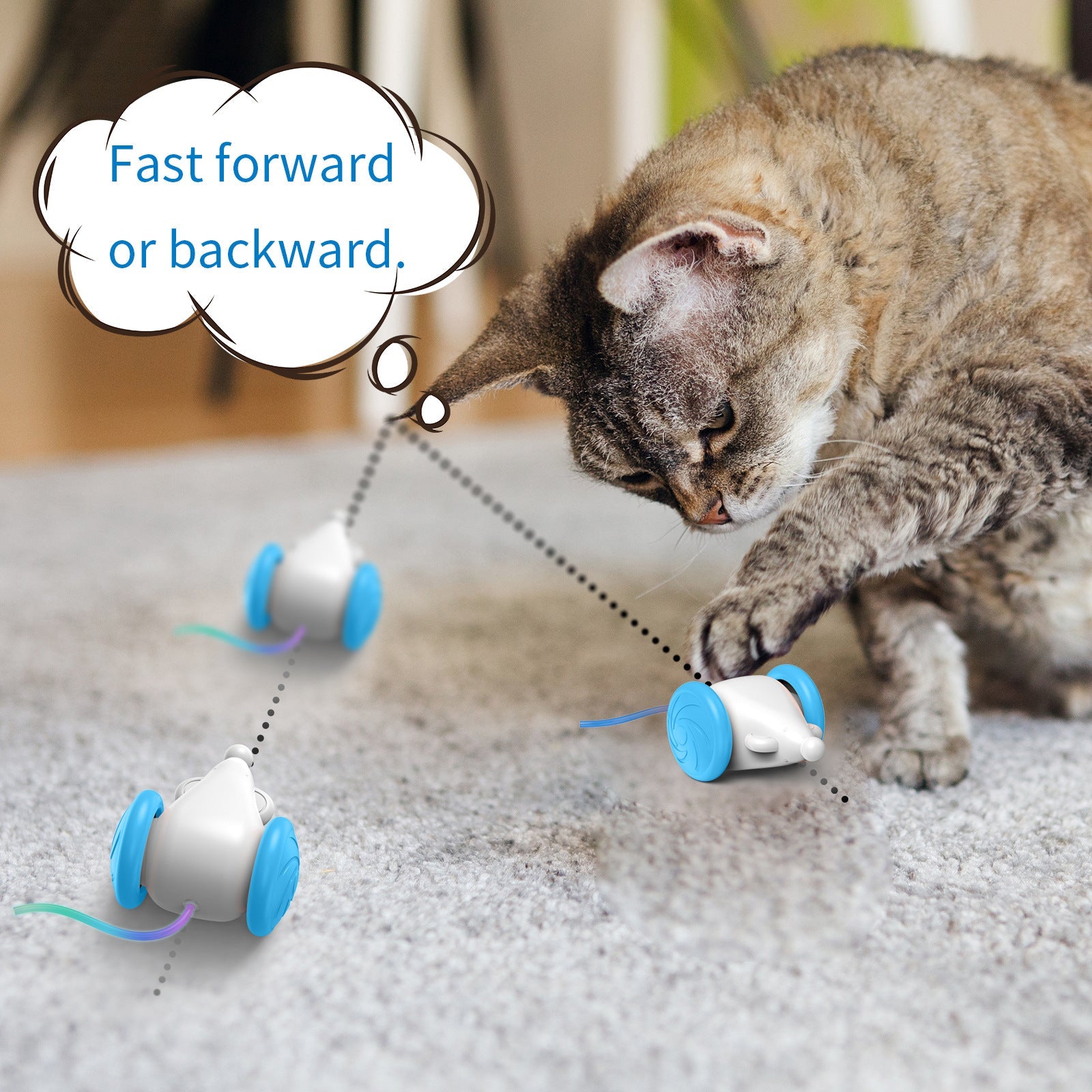 Interactive Pet Supplies Luminous Toys - The Ultimate Playtime Companion